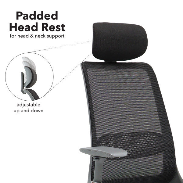 Holden Mesh Executive Ergonomic Office Chair